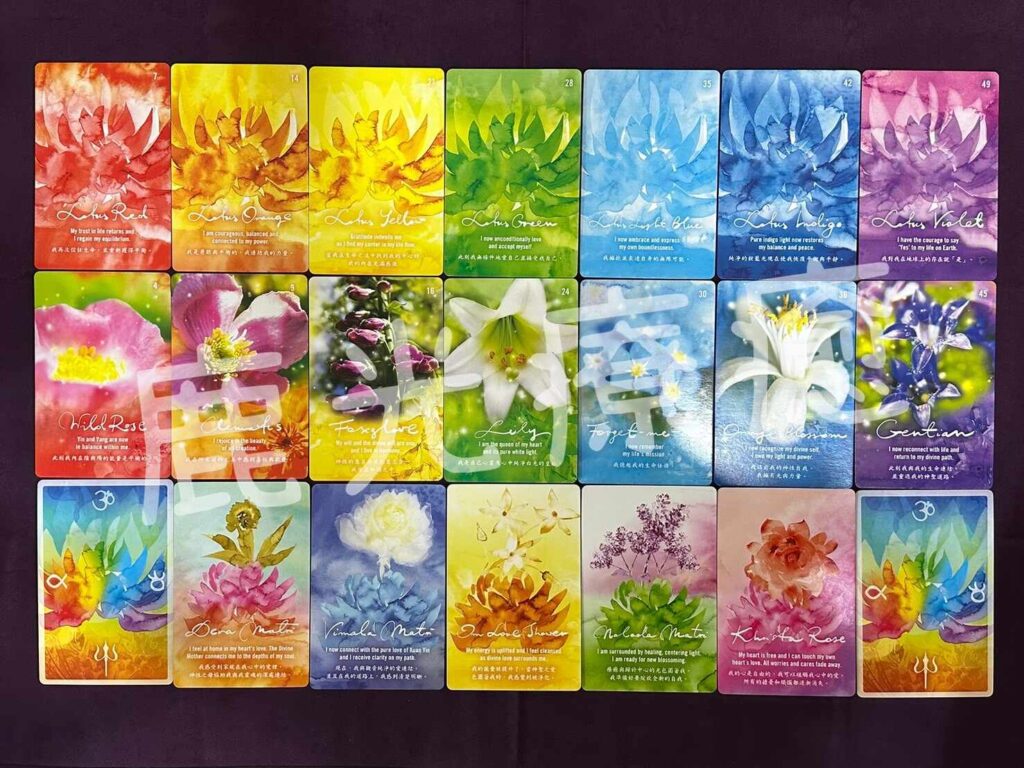 牌卡、療癒牌卡、自我探索、認識自己、情緒療癒、生涯規劃、塔羅、阿卡莎脈輪花精療癒卡、阿卡莎、花精、脈輪、神諭卡