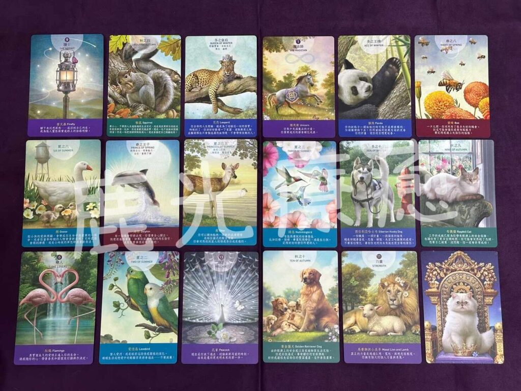 動物塔羅牌、Doreen Virtue、朵琳芙秋、心靈牌卡、神諭卡、療癒卡、牌卡推薦、塔羅、占卜、心靈療癒、療癒、天使、天使卡